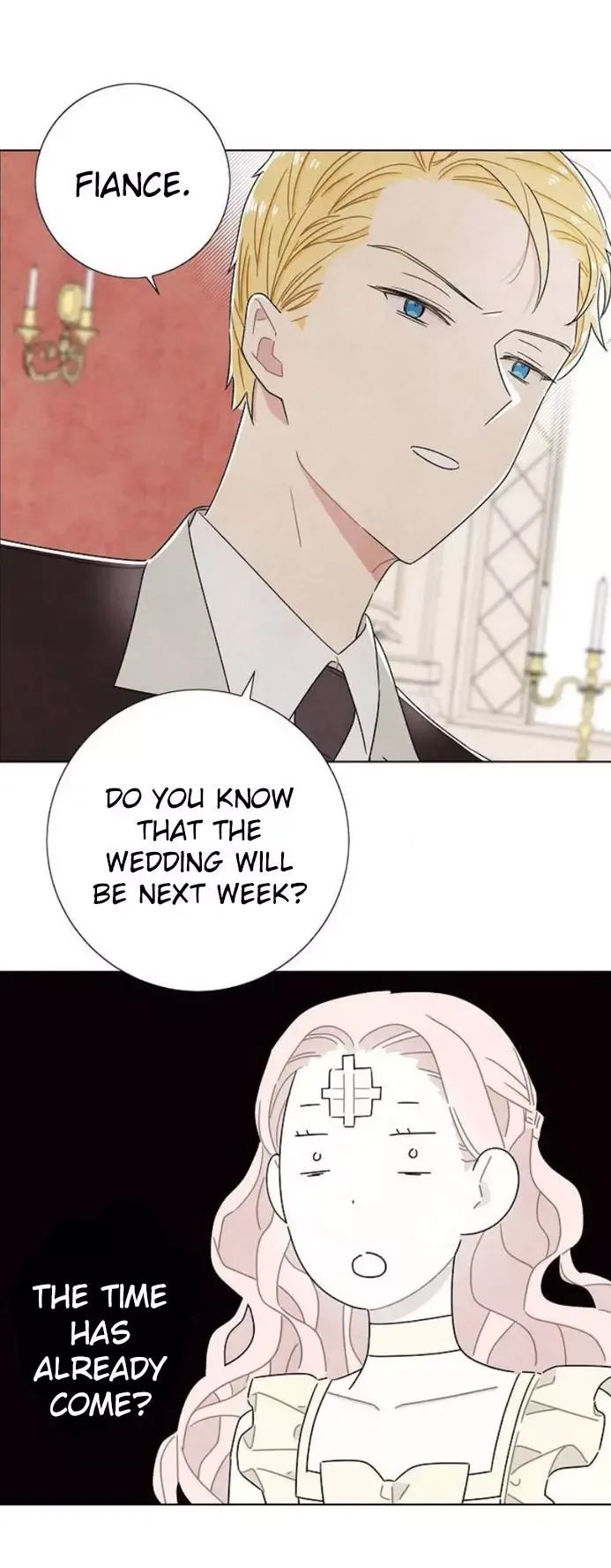 I Stole The Male Lead's First Night Chapter 35 page 32