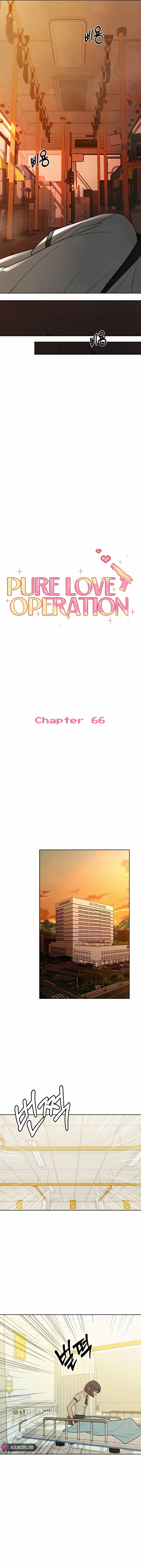 Pure Love Operation Chapter 66 page 8