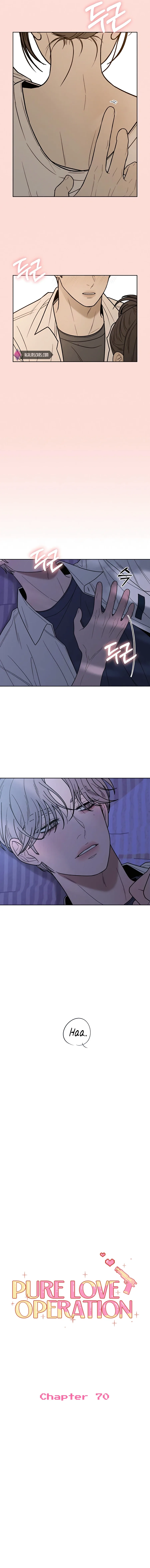 Pure Love Operation Chapter 70 page 5