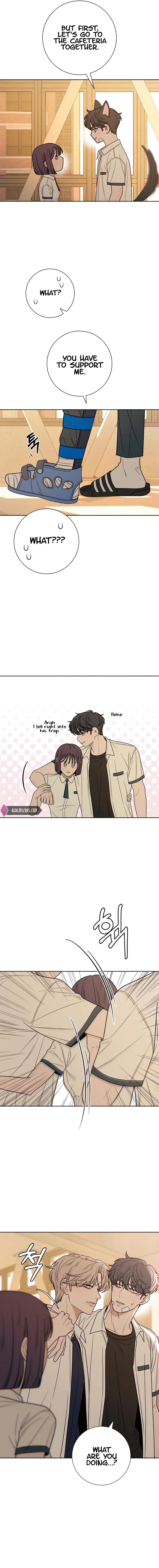 Pure Love Operation Chapter 67 page 12