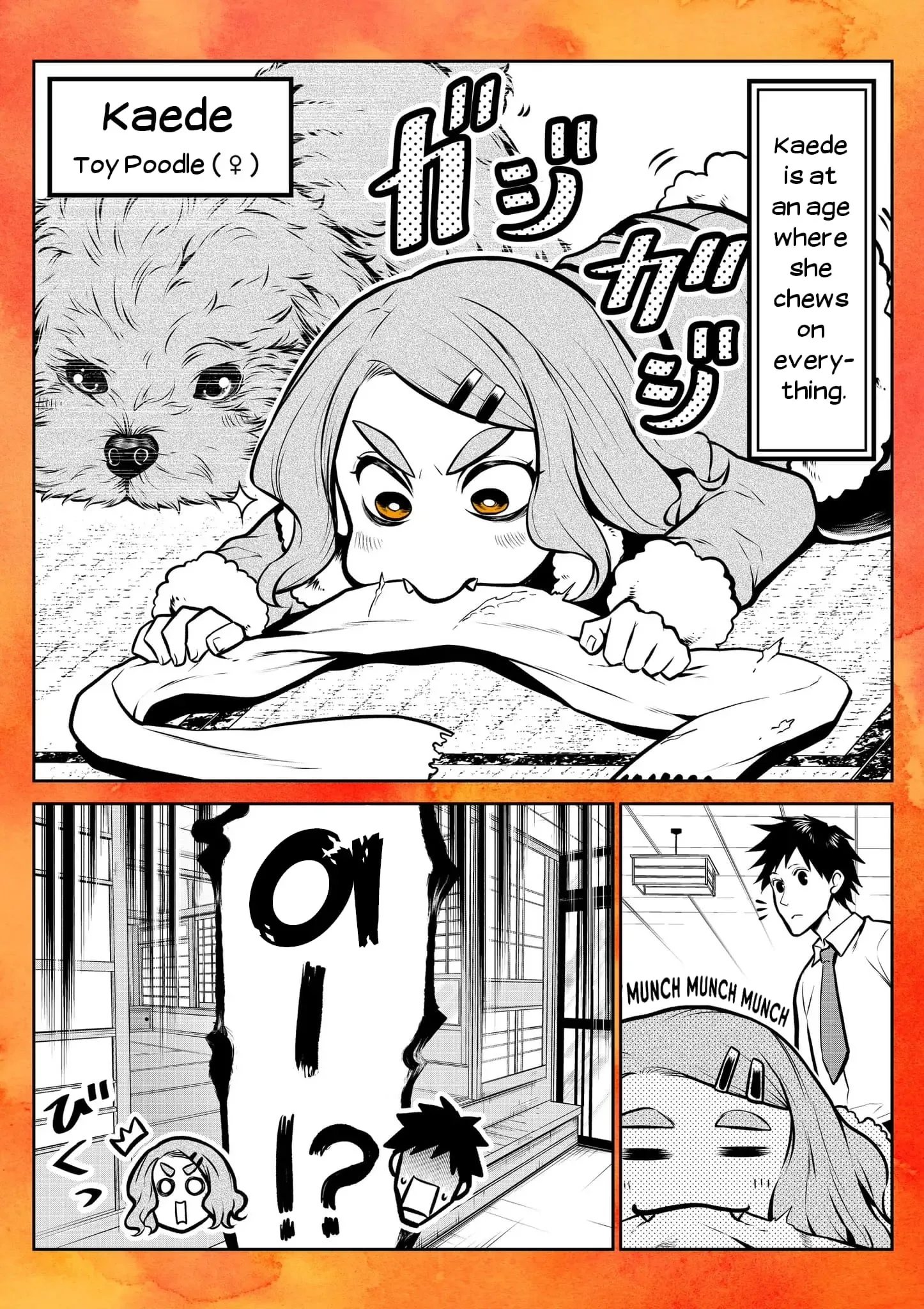 My Dog Becomes a Human Chapter 14.6 page 1