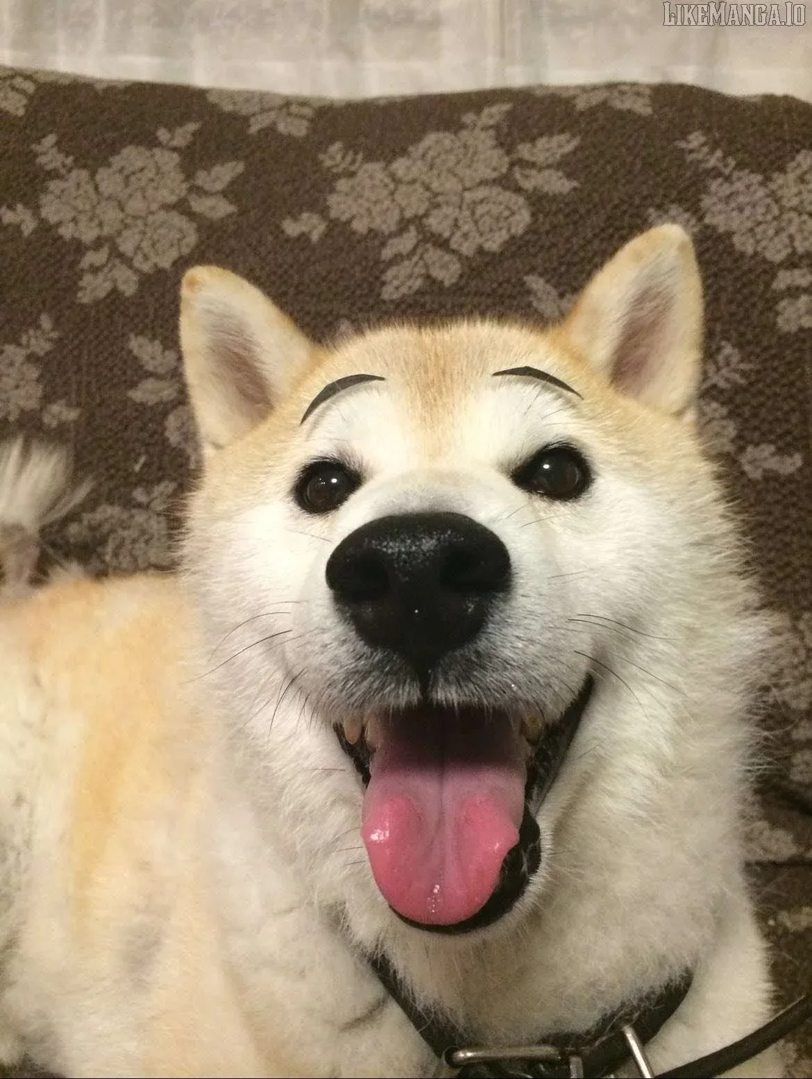 My Dog Becomes a Human Chapter 32.5 page 3