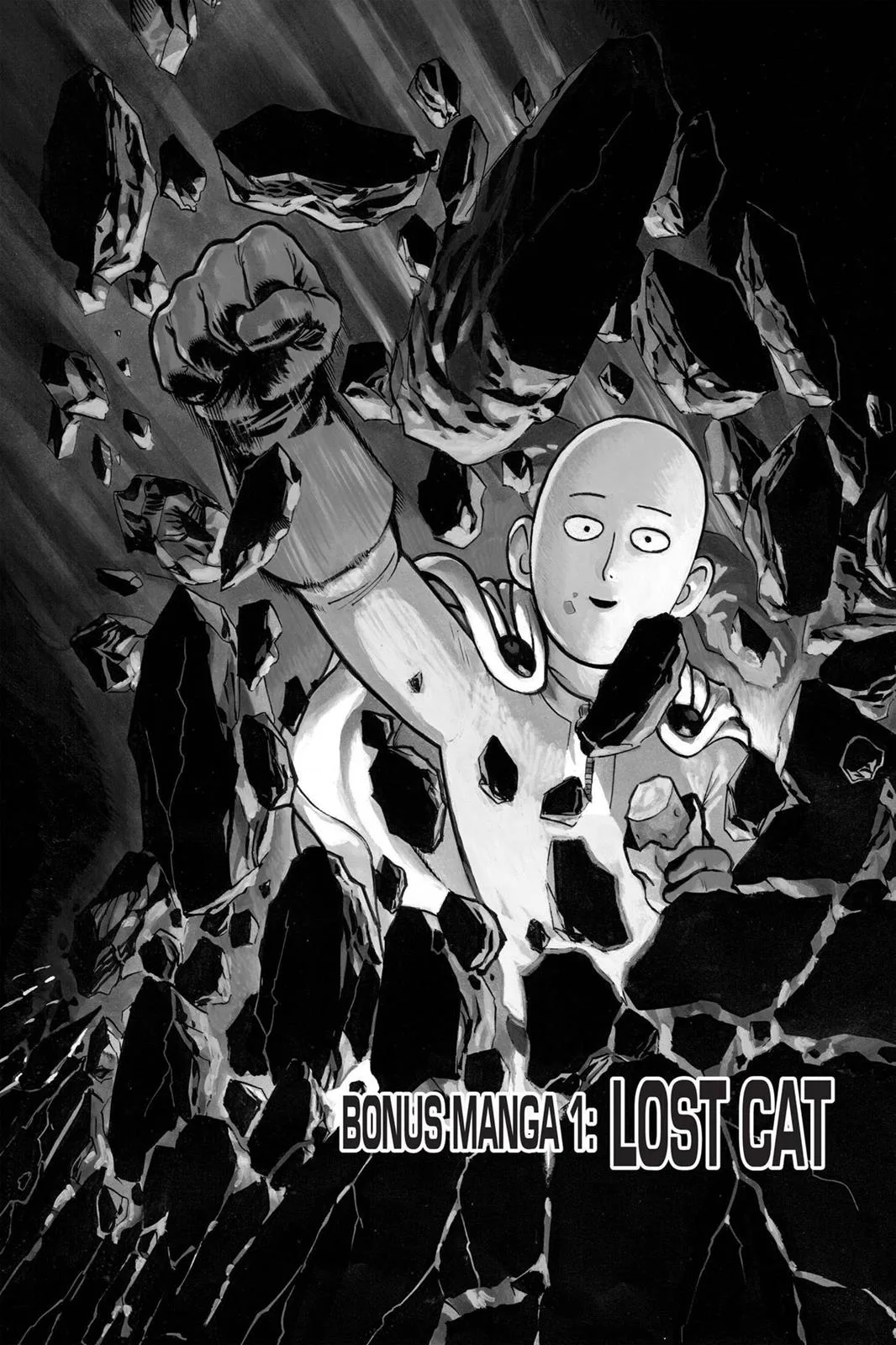 One-Punch Man Chapter 40.5 page 1