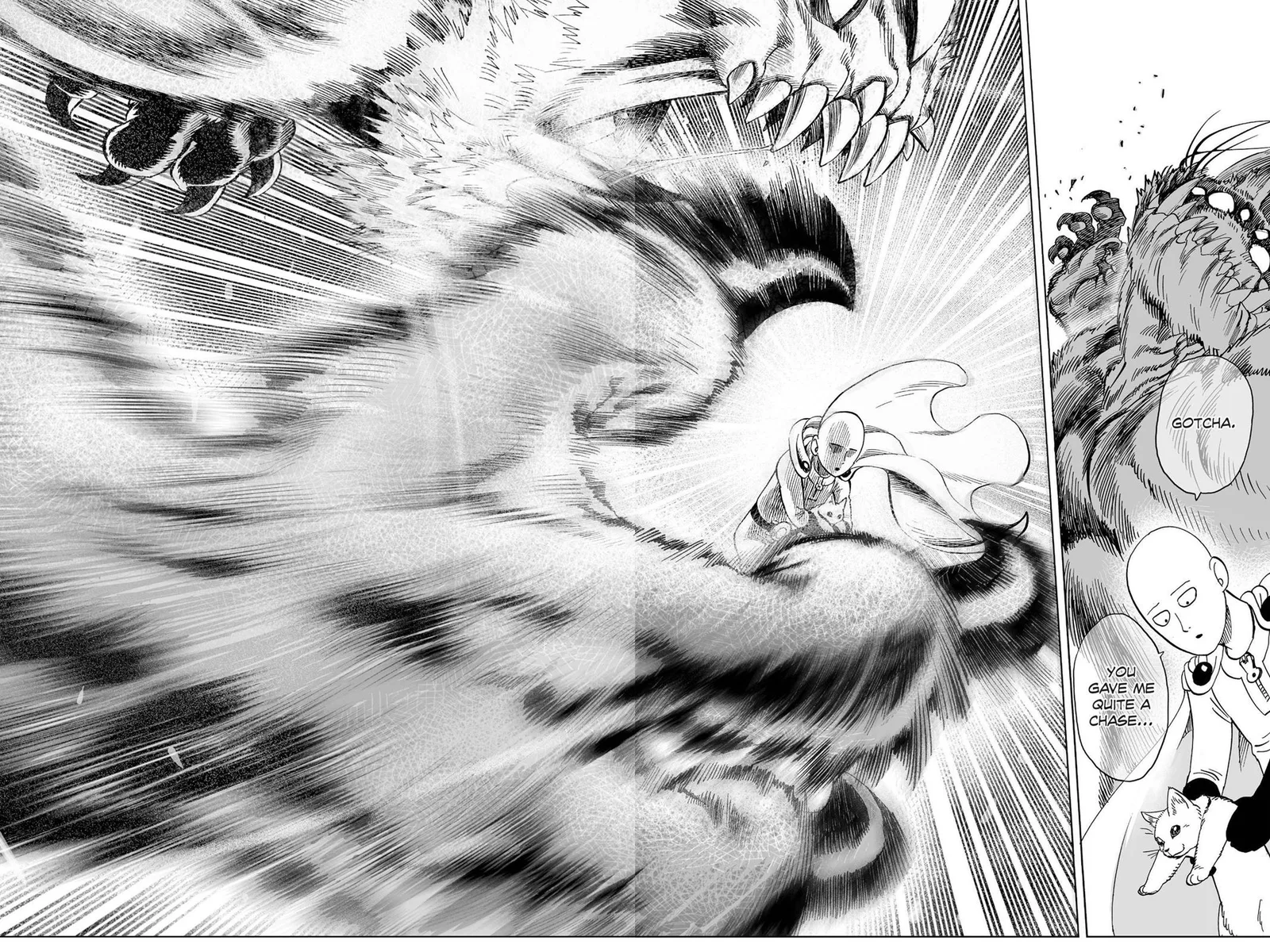 One-Punch Man Chapter 40.5 page 28