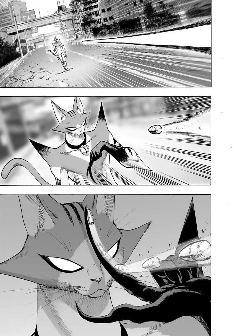 One-Punch Man Chapter 116 page 11