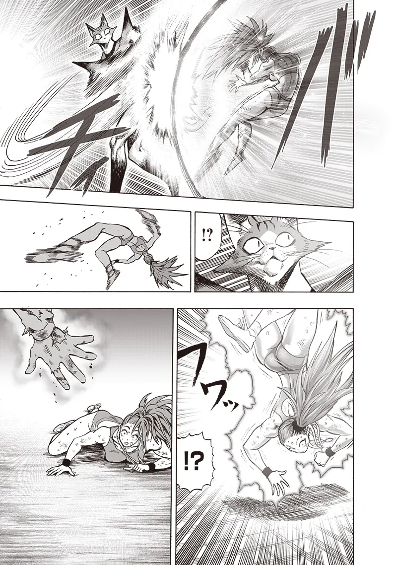 One-Punch Man Chapter 117 page 4