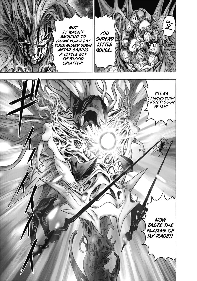 One-Punch Man Chapter 133 page 27