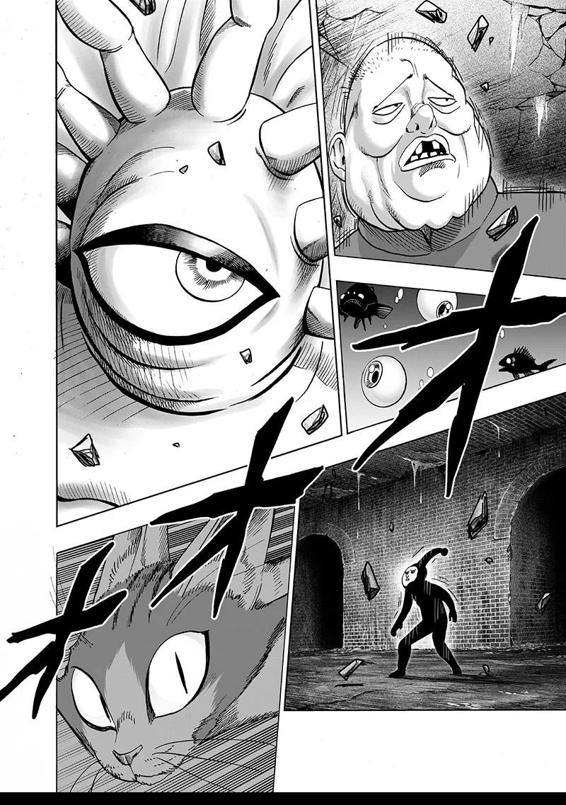 One-Punch Man Chapter 106 page 24
