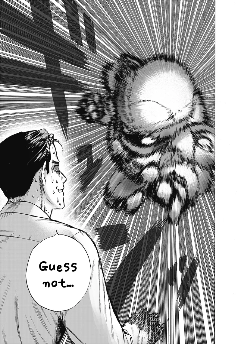 One-Punch Man Chapter 119 page 24