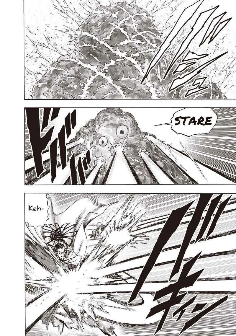 One-Punch Man Chapter 145 page 2