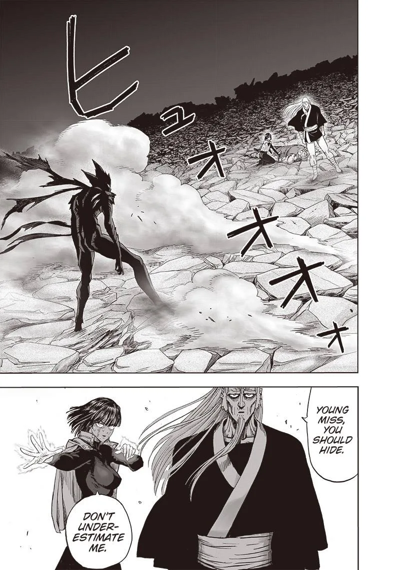 One-Punch Man Chapter 146 page 29