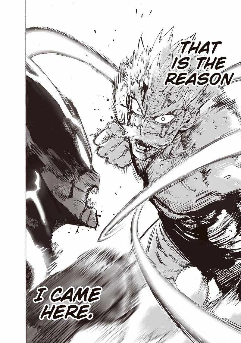 One-Punch Man Chapter 153 page 19