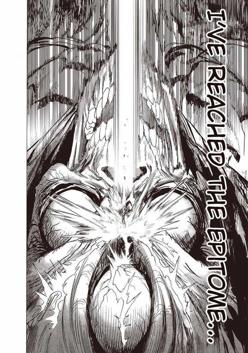 One-Punch Man Chapter 158 page 17