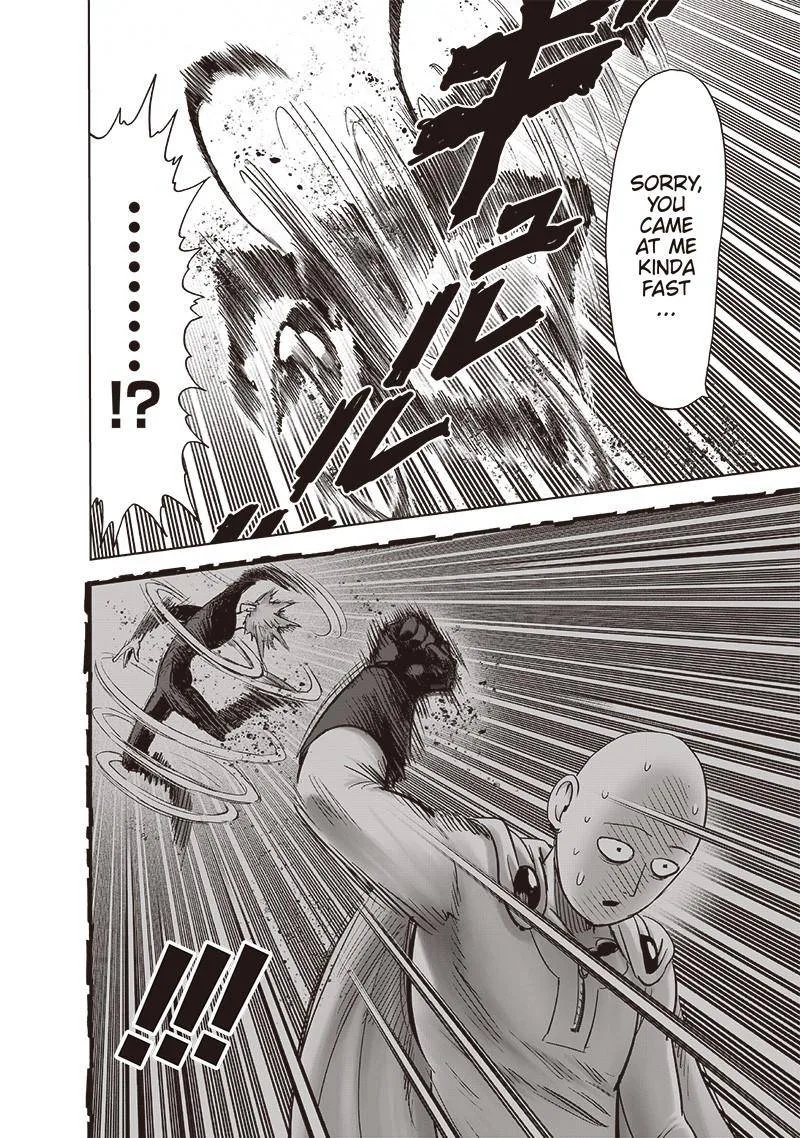 One-Punch Man Chapter 161 page 19