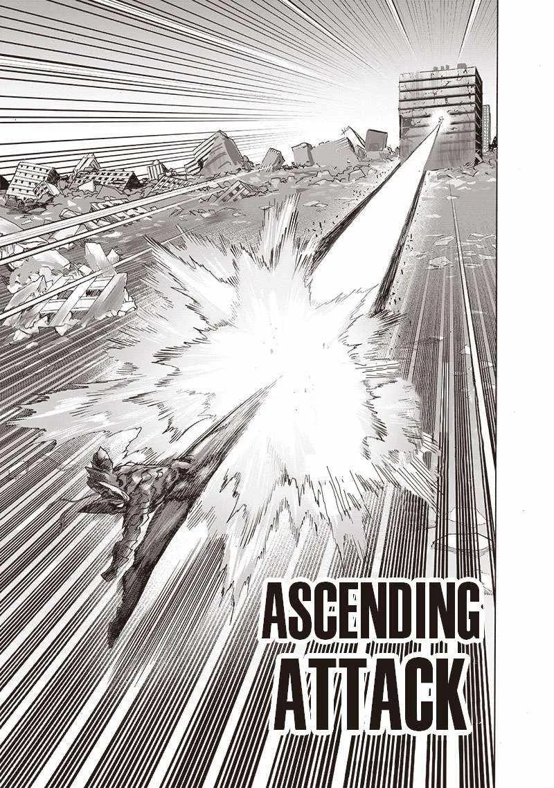 One-Punch Man Chapter 163 page 15