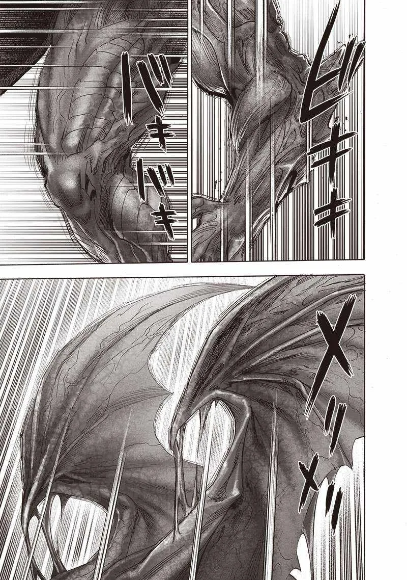 One-Punch Man Chapter 163 page 30