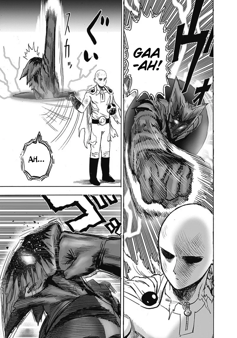 One-Punch Man Chapter 167 page 24