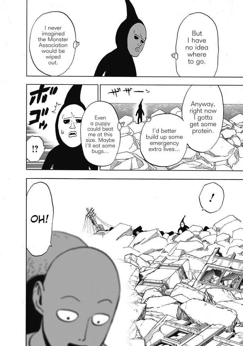 One-Punch Man Chapter 171 page 21