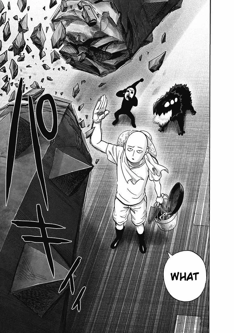 One-Punch Man Chapter 172 page 20