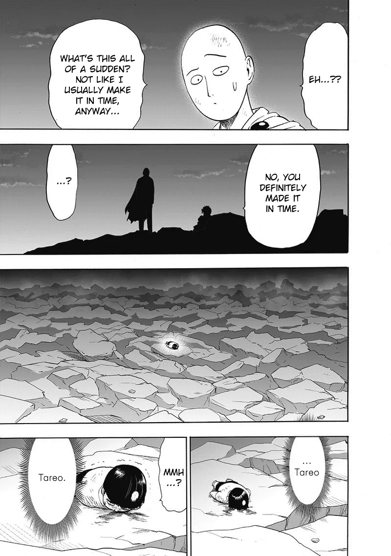 One-Punch Man Chapter 169 page 15