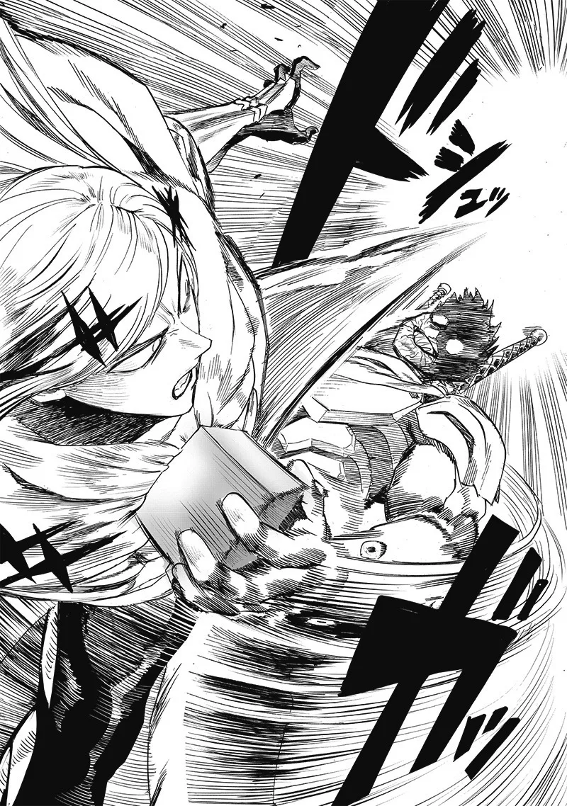 One-Punch Man Chapter 203 page 14