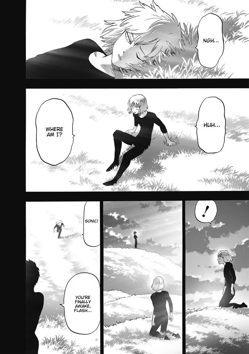 One-Punch Man Chapter 203 page 18