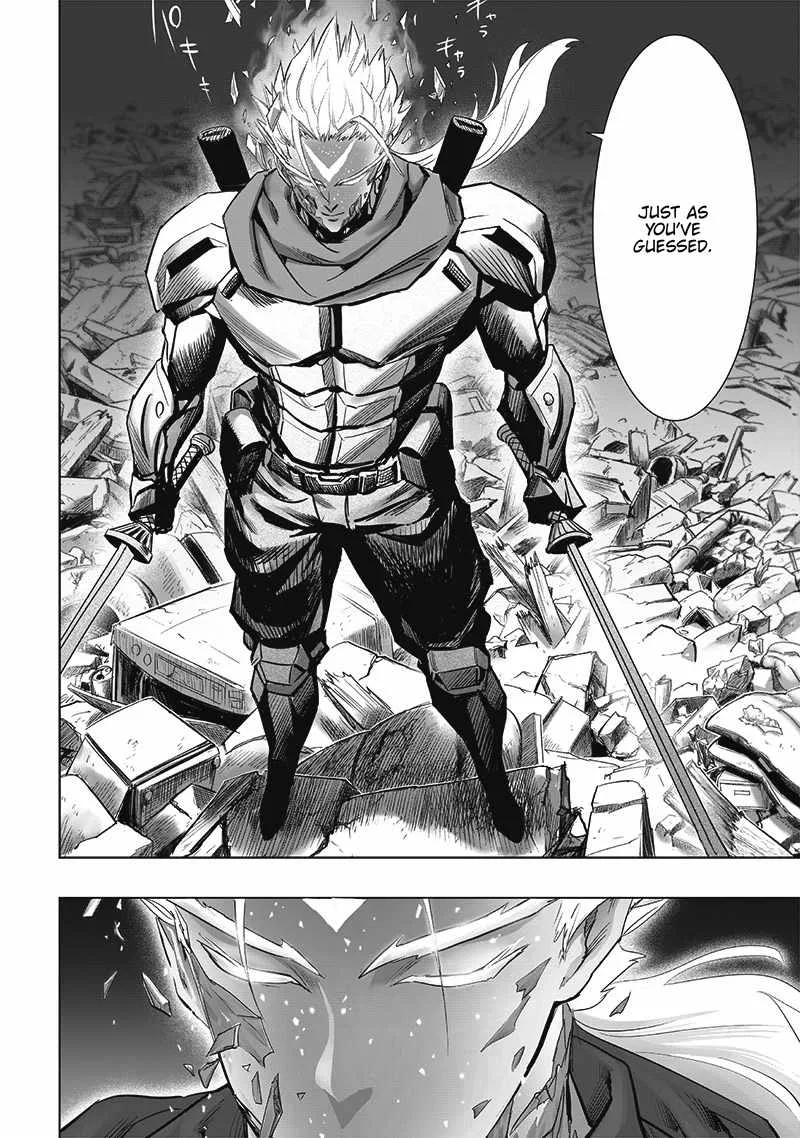 One-Punch Man Chapter 208 page 4