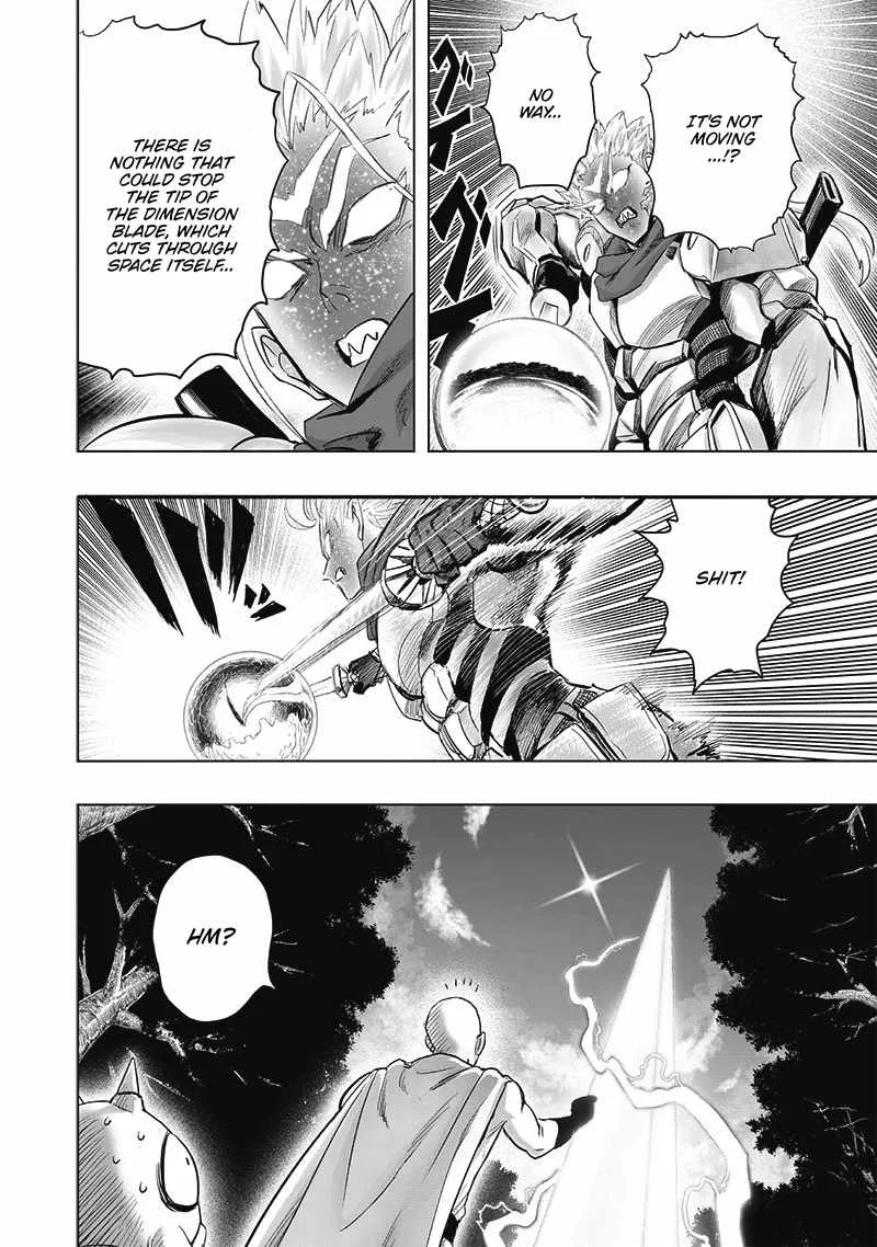 One-Punch Man Chapter 209 page 10