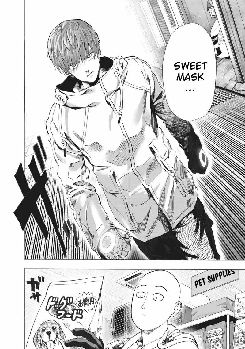 One-Punch Man Chapter 219 page 15