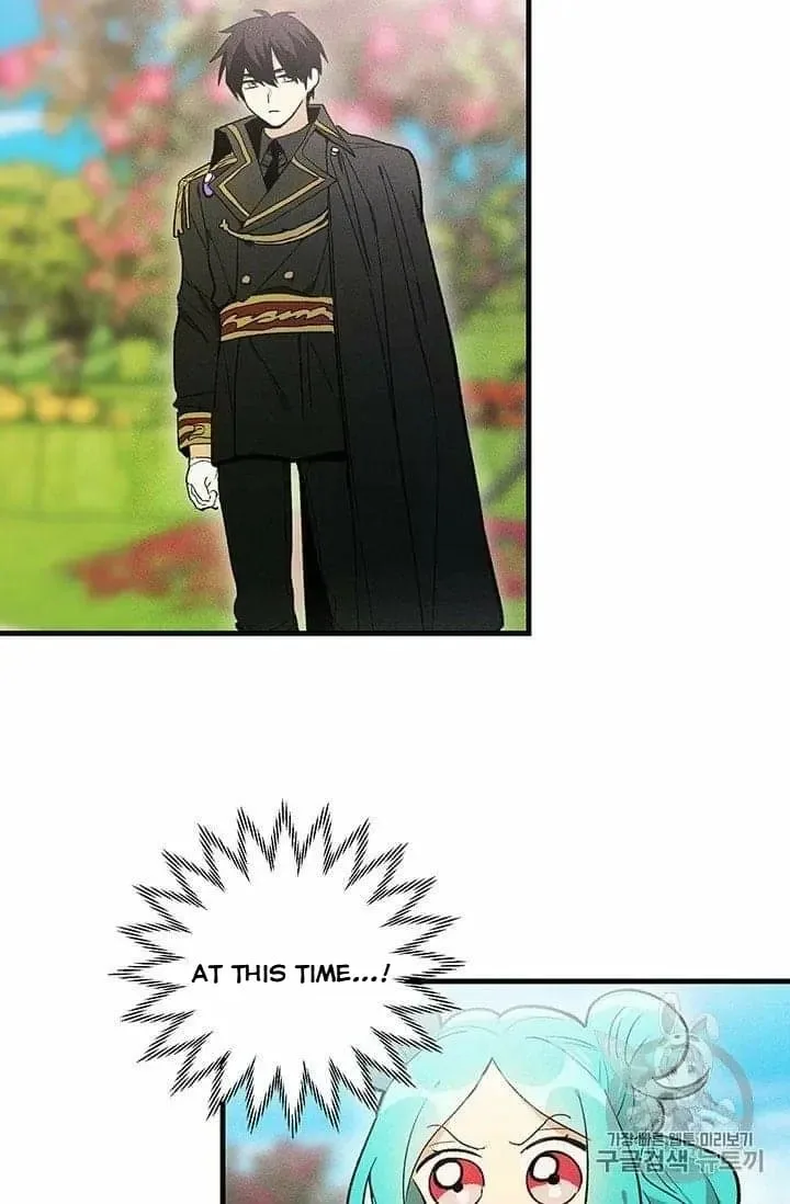 The Young Lady is A Royal Chef Chapter 20.5 page 32