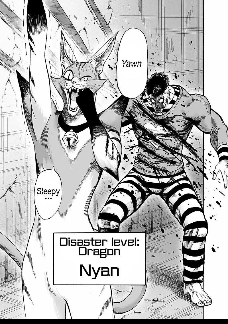 One-Punch Man Chapter 105 page 27