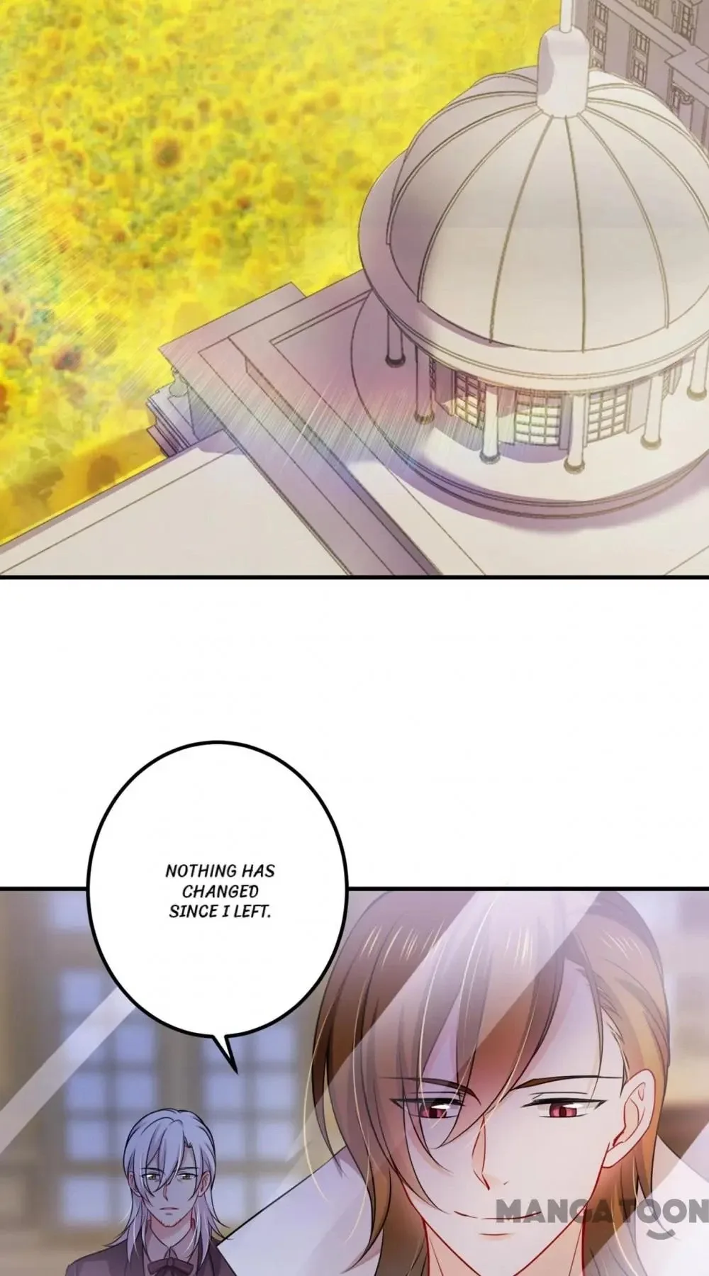 The Expensive Ex-Wife Of A Wealthy Family Chapter 596 page 11