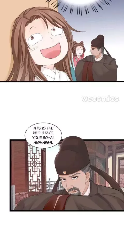 Phoenix of The Nine Heavens Chapter 2 page 11