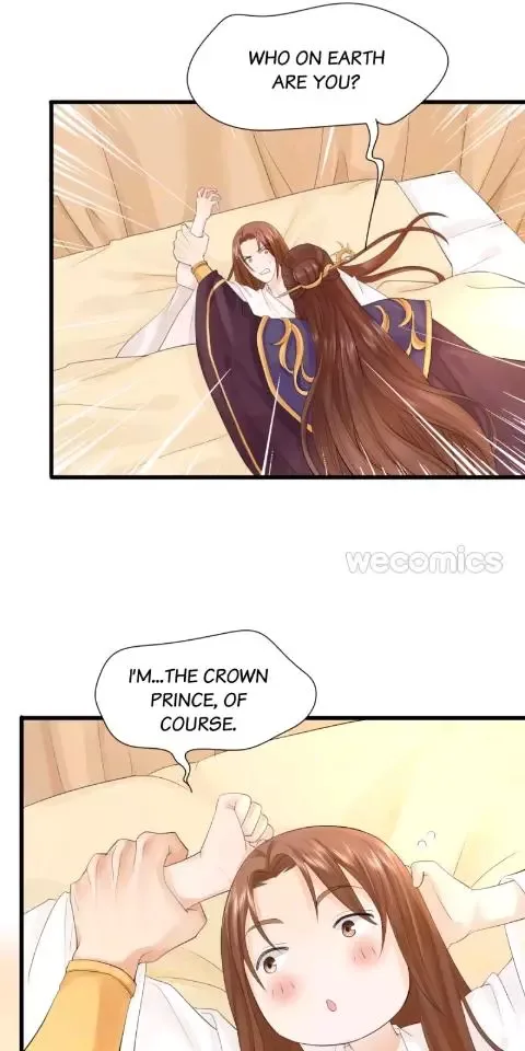 Phoenix of The Nine Heavens Chapter 8 page 13