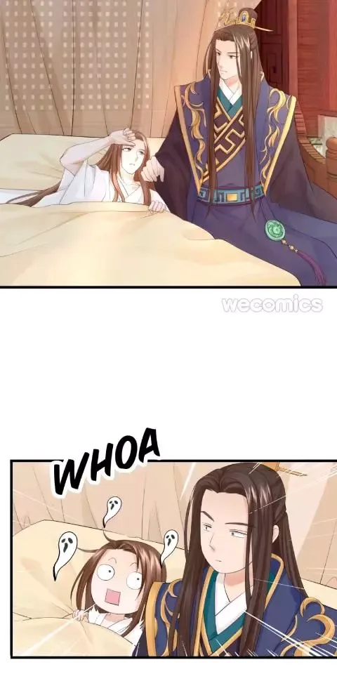 Phoenix of The Nine Heavens Chapter 8 page 3