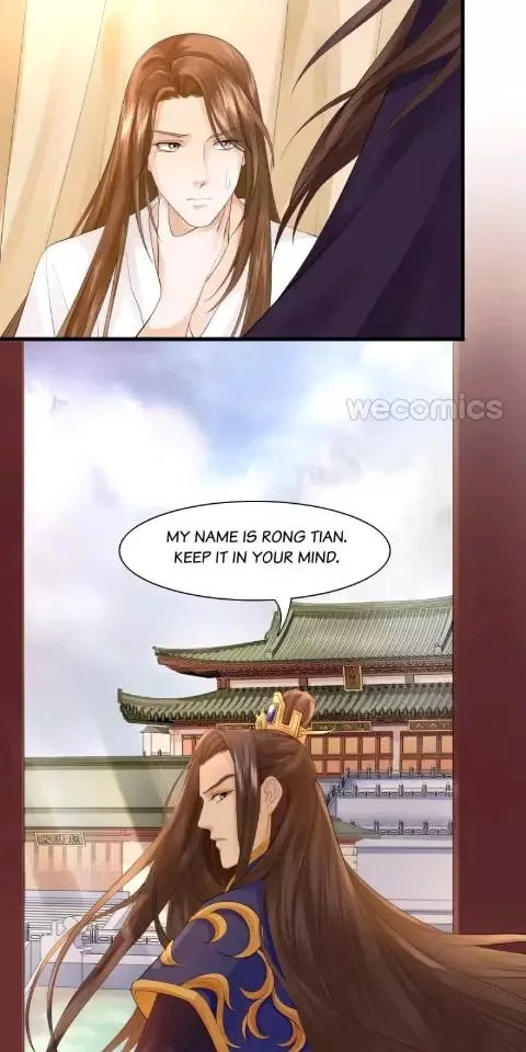 Phoenix of The Nine Heavens Chapter 9 page 17