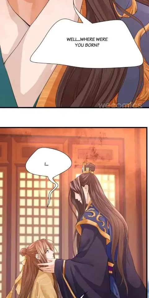 Phoenix of The Nine Heavens Chapter 14 page 3