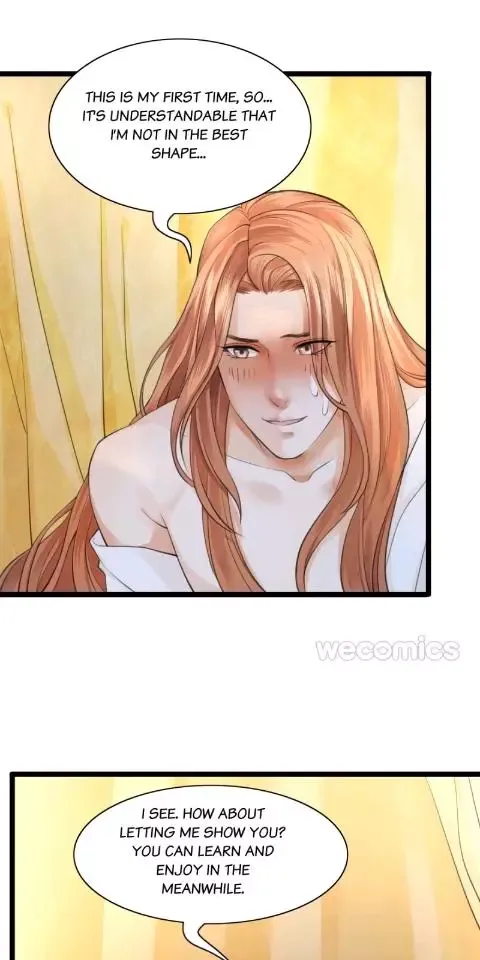 Phoenix of The Nine Heavens Chapter 24 page 3