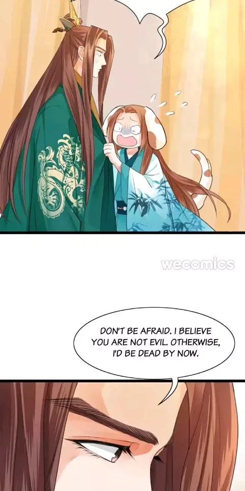 Phoenix of The Nine Heavens Chapter 25 page 15