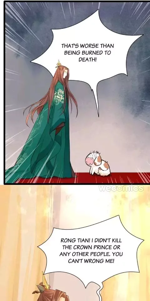 Phoenix of The Nine Heavens Chapter 25 page 14