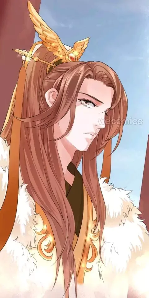 Phoenix of The Nine Heavens Chapter 27 page 11