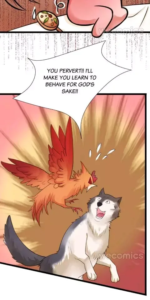 Phoenix of The Nine Heavens Chapter 29 page 14