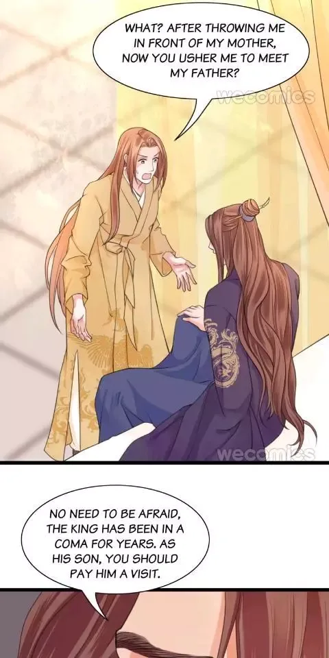 Phoenix of The Nine Heavens Chapter 30 page 8