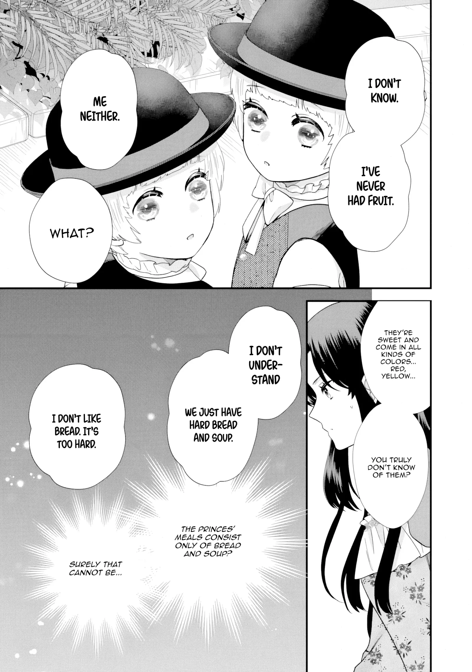 Villainess Stepmother of Twin Princes Who Just Loves Her Cute Boys. Chapter 5 page 17