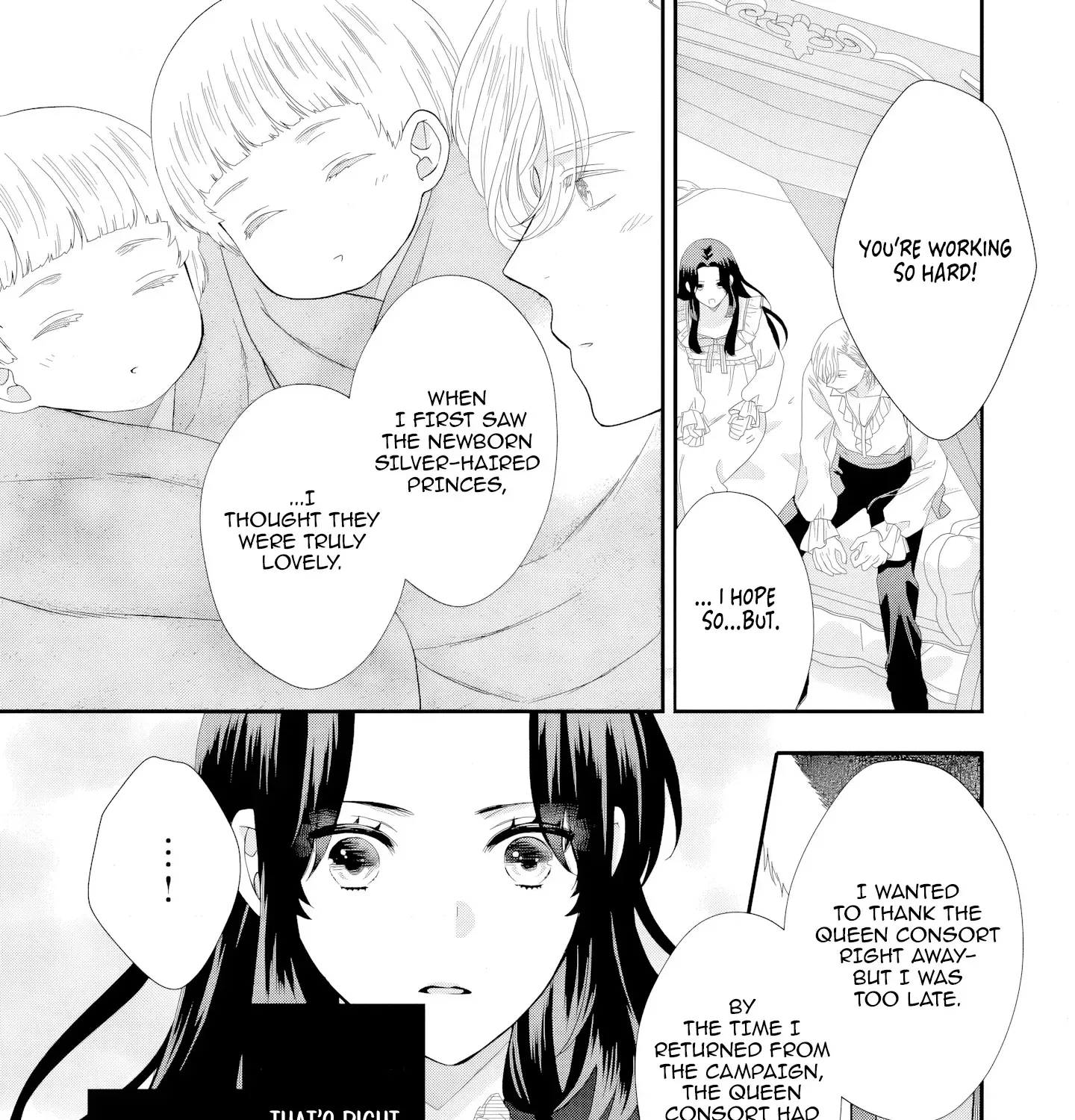 Villainess Stepmother of Twin Princes Who Just Loves Her Cute Boys. Chapter 7 page 45