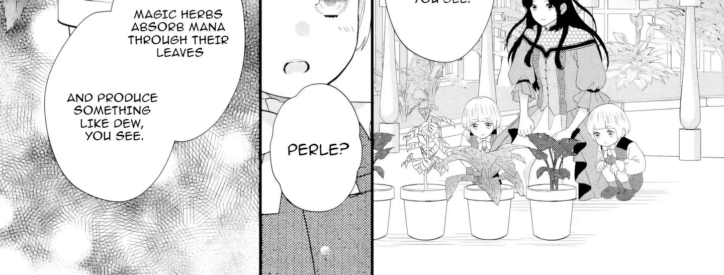 Villainess Stepmother of Twin Princes Who Just Loves Her Cute Boys. Chapter 8 page 40