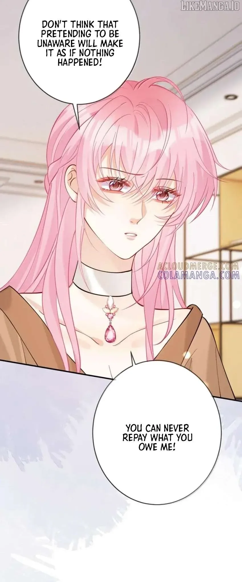The Two-Faced Heroine is Obsessed with Marking Me Chapter 24 page 5