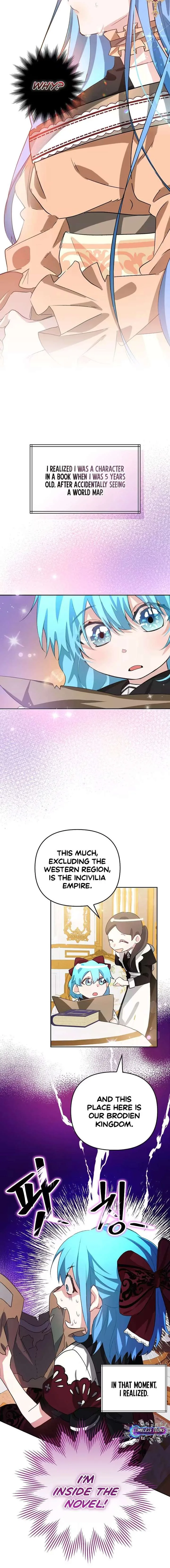 I Reincarnated as the Princess of a Country That Is Going to Destroyed by Male Protagonist Chapter 1 page 9