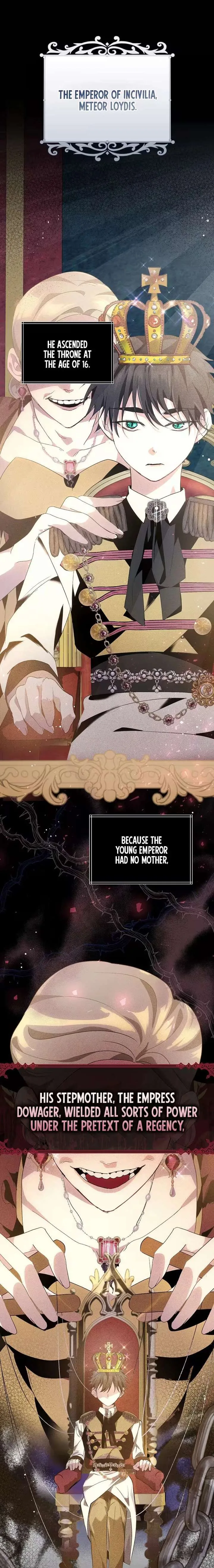 I Reincarnated as the Princess of a Country That Is Going to Destroyed by Male Protagonist Chapter 2 page 2
