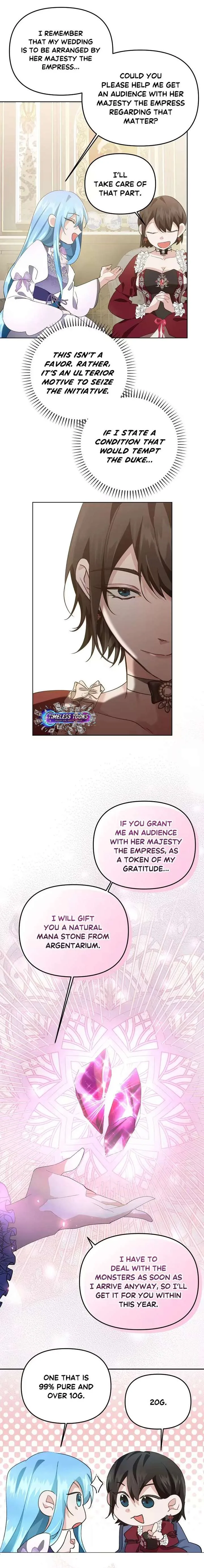 I Reincarnated as the Princess of a Country That Is Going to Destroyed by Male Protagonist Chapter 5 page 7